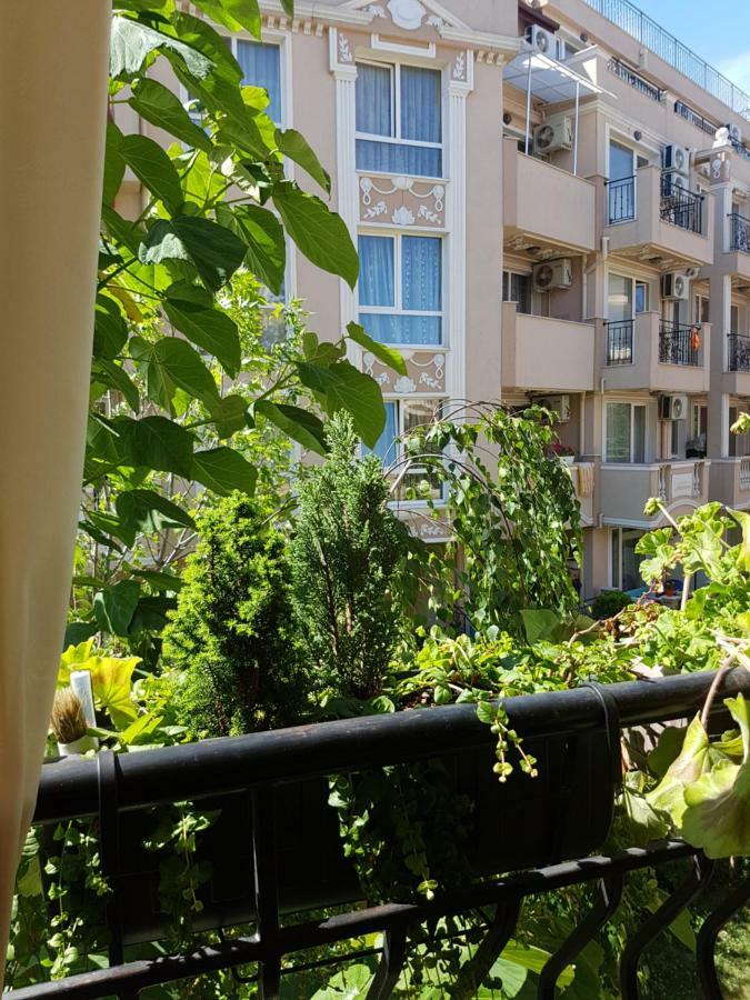 Guesthouse Zanier Misivri Dış mekan fotoğraf