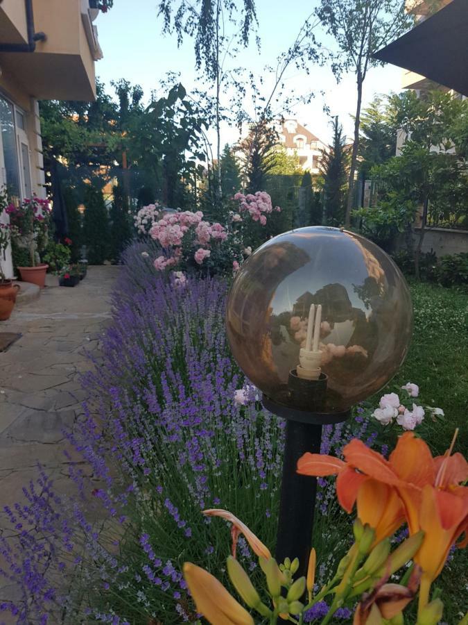 Guesthouse Zanier Misivri Dış mekan fotoğraf